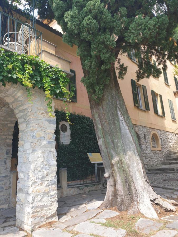 Caffe Del Viaggiatore Valsolda Екстериор снимка
